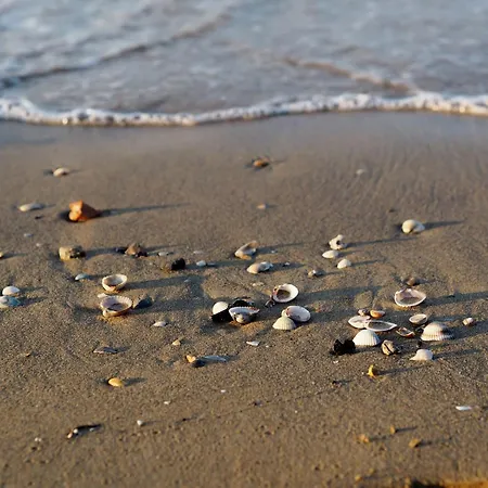 Seaside Escape With Pool View *