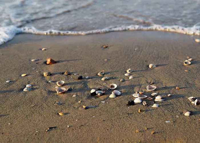 Seaside Escape With Pool View *